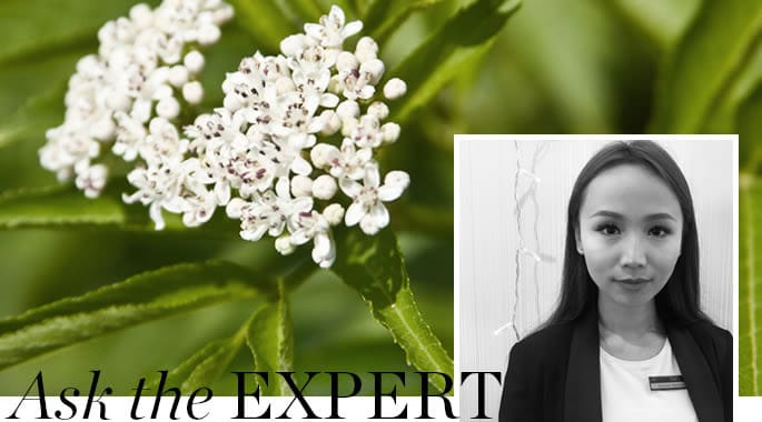 Vegan beauty products at Victoria Leeds, perfect for eco-conscious shoppers. Discover cruelty-free s.