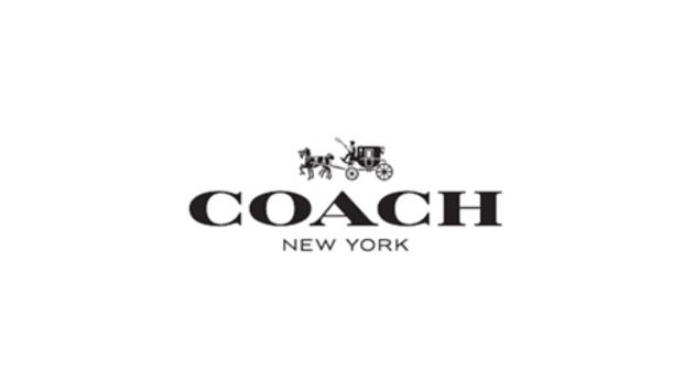Luxury Coach New York logo featuring a horse-drawn carriage, symbolising elegance and timeless style.