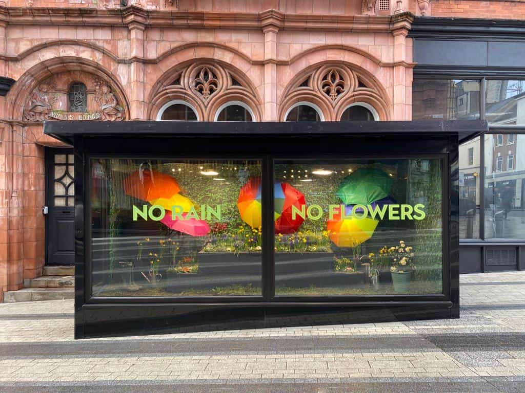 NO RAIN NO FLOWERS window display with colourful umbrellas and flowers.