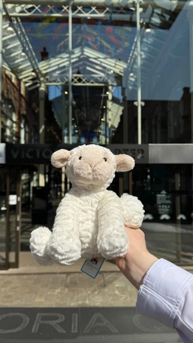 Catch them if you can 🧸

@lisaangeluk is one of the few independent businesses to be stocking @jellycat Finders Keepers.

Limited stock available, this is an exclusive collection you won’t find just anywhere!

Visit the Victoria Gate store to find yours before they go! ✨